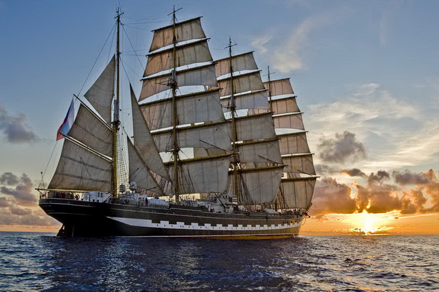 bark-sedov-01.jpg