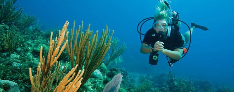 diving.jpg