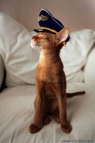 BoatNews