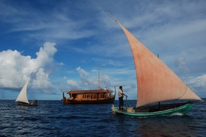 Традиционные лодки: дхони