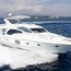 Majesty 63