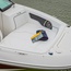 Sea Ray 220 Sundeck