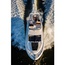 Sea Ray 510 Fly