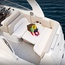 Chaparral 290 Signature