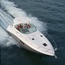 Rinker 360 Express Cruiser