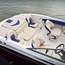 Chaparral 18 Ski&Fish H20 