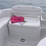 Crownline 286 SC 