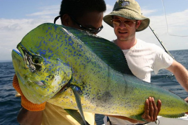 Коста-Рика - лучшее направление для разноплановой рыбалки