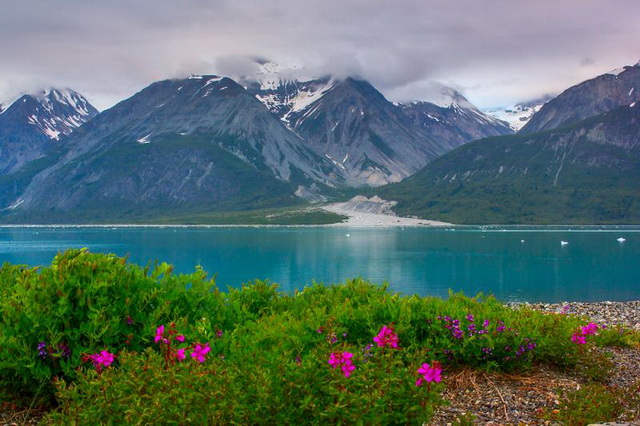 национальный парк Glacier Bay 