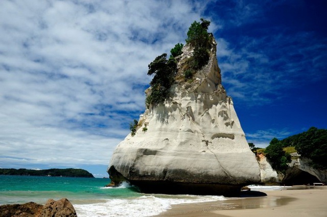 cathedral-cove-beach-new-zealand-08.jpg