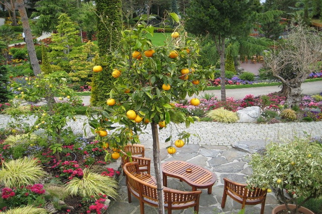 Эдемский сад норвежской семьи Брин