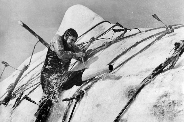 Фильмы про китов - «Моби Дик» (1956)