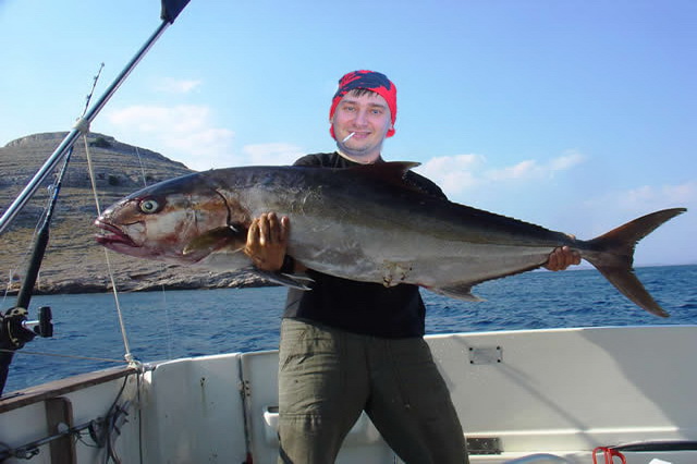 Рыбалка в Хорватии - основной улов