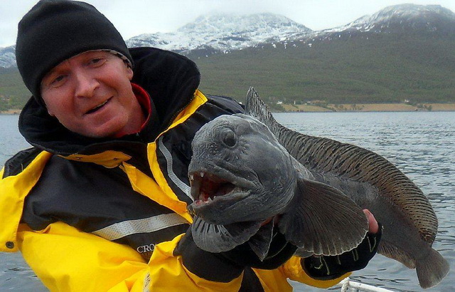 Рыбалка в Белом море
