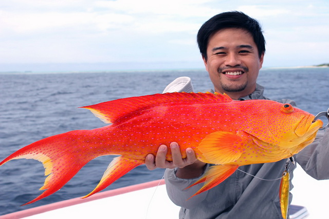 Варианты рыбалки на Мальдивских островах