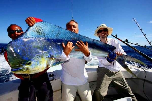 Особенности рыбалки на Багамах