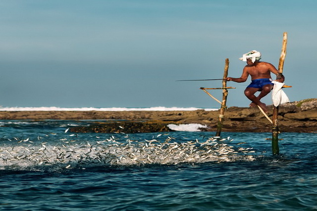 fishing-on-stilts-shri-lanka-05.jpg