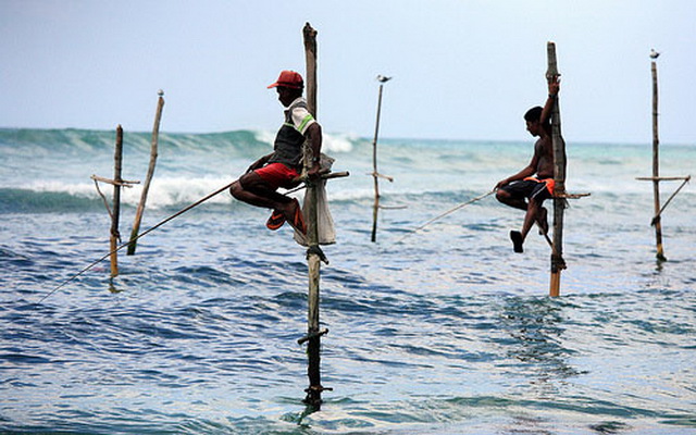 fishing-on-stilts-shri-lanka-07.jpg