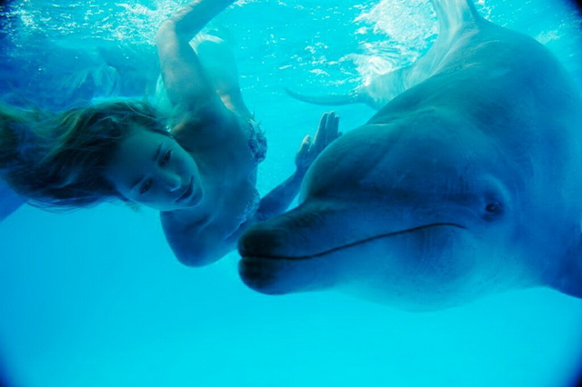 Дайвинг с дельфинами Ханны Фрейзер