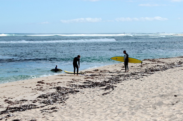 Лучшие пляжи для серфинга в Австралии