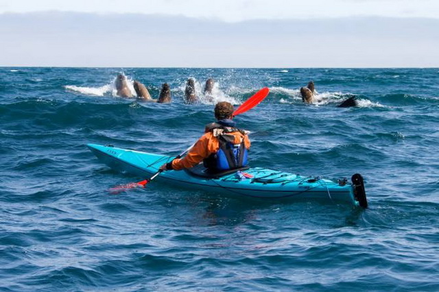 Морской каякинг - увлекательное водное развлечение