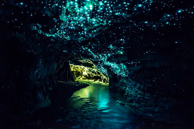 Чудеса природы - Пещеры Вайтомо в Новой Зеландии