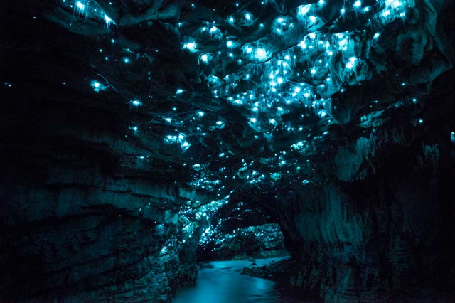 Загадки пещер Вайтомо в Новой Зеландии